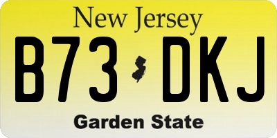 NJ license plate B73DKJ