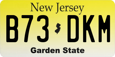 NJ license plate B73DKM