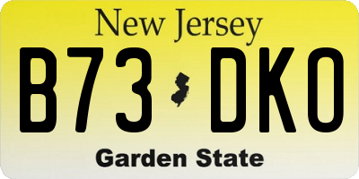 NJ license plate B73DKO