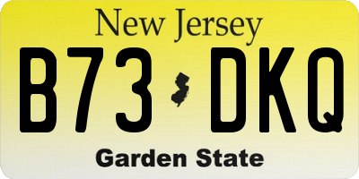NJ license plate B73DKQ