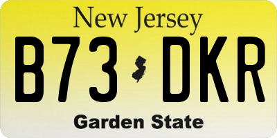 NJ license plate B73DKR