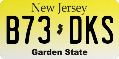 NJ license plate B73DKS