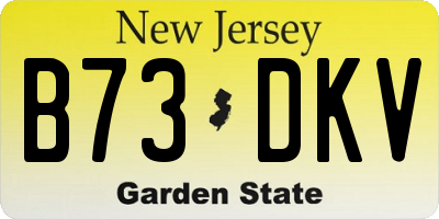 NJ license plate B73DKV