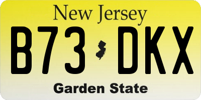 NJ license plate B73DKX