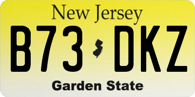 NJ license plate B73DKZ