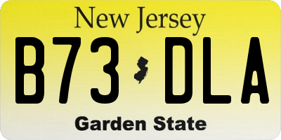 NJ license plate B73DLA