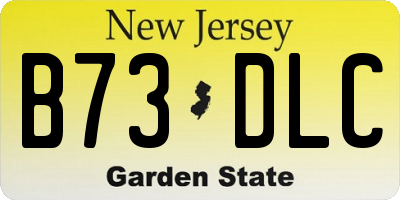 NJ license plate B73DLC