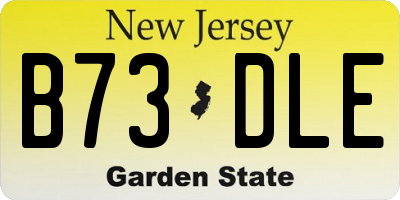 NJ license plate B73DLE