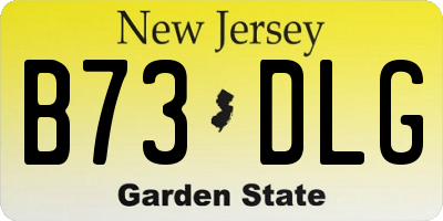 NJ license plate B73DLG