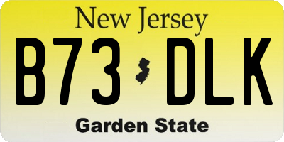 NJ license plate B73DLK