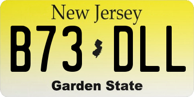 NJ license plate B73DLL