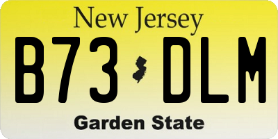 NJ license plate B73DLM