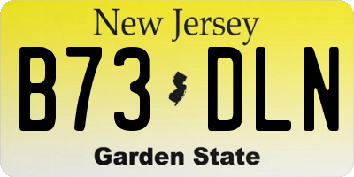 NJ license plate B73DLN