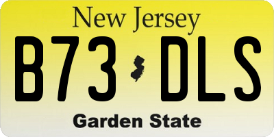 NJ license plate B73DLS