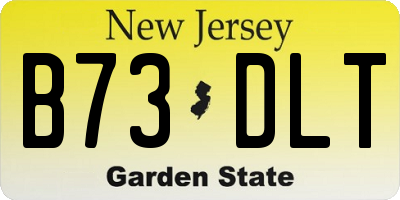 NJ license plate B73DLT