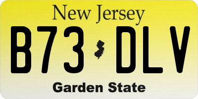 NJ license plate B73DLV