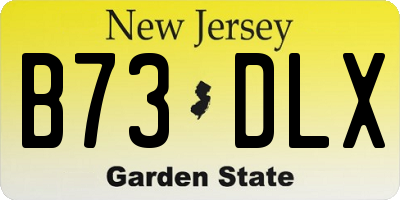 NJ license plate B73DLX