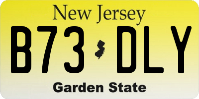 NJ license plate B73DLY