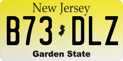NJ license plate B73DLZ