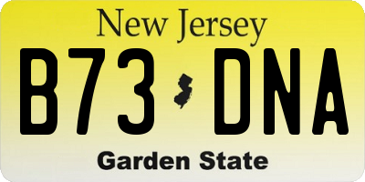 NJ license plate B73DNA