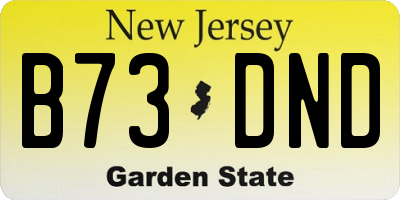 NJ license plate B73DND