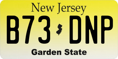 NJ license plate B73DNP