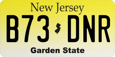 NJ license plate B73DNR