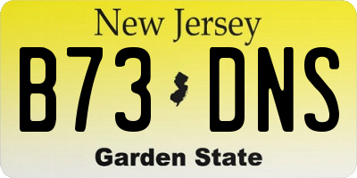 NJ license plate B73DNS