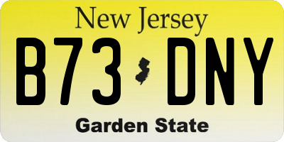 NJ license plate B73DNY