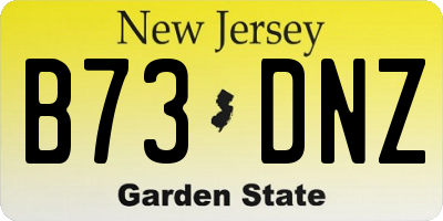 NJ license plate B73DNZ