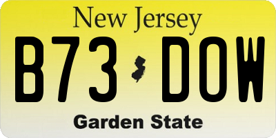 NJ license plate B73DOW