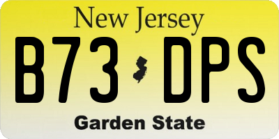NJ license plate B73DPS