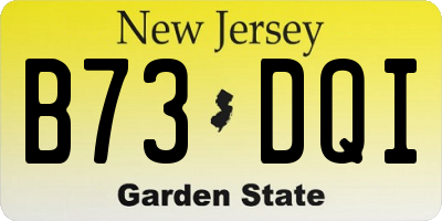 NJ license plate B73DQI