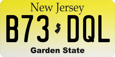 NJ license plate B73DQL