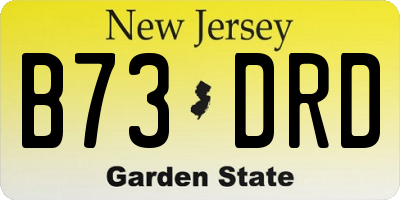 NJ license plate B73DRD