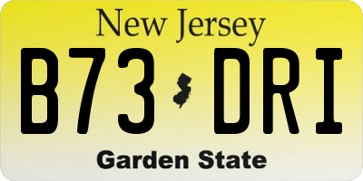 NJ license plate B73DRI