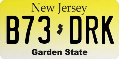 NJ license plate B73DRK