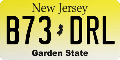 NJ license plate B73DRL