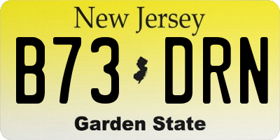 NJ license plate B73DRN