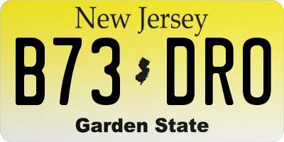 NJ license plate B73DRO