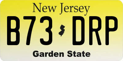 NJ license plate B73DRP