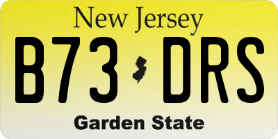 NJ license plate B73DRS