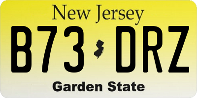 NJ license plate B73DRZ