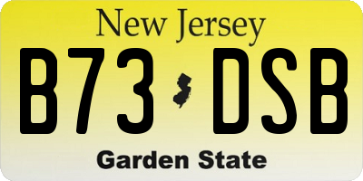 NJ license plate B73DSB