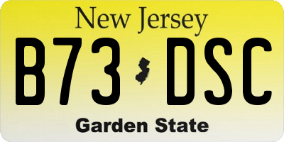 NJ license plate B73DSC