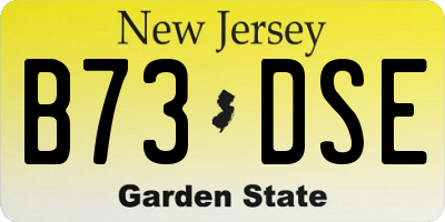 NJ license plate B73DSE