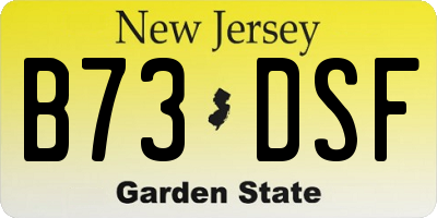 NJ license plate B73DSF