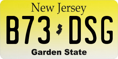 NJ license plate B73DSG