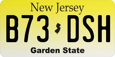 NJ license plate B73DSH