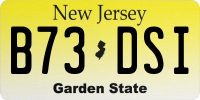NJ license plate B73DSI